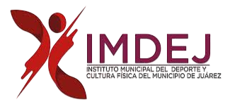 Logo IMDEJ
